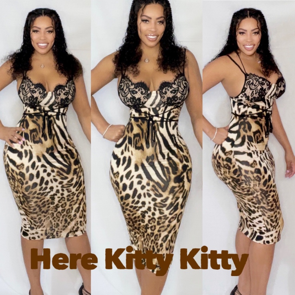 Here Kitty Kitty 🐈‍⬛